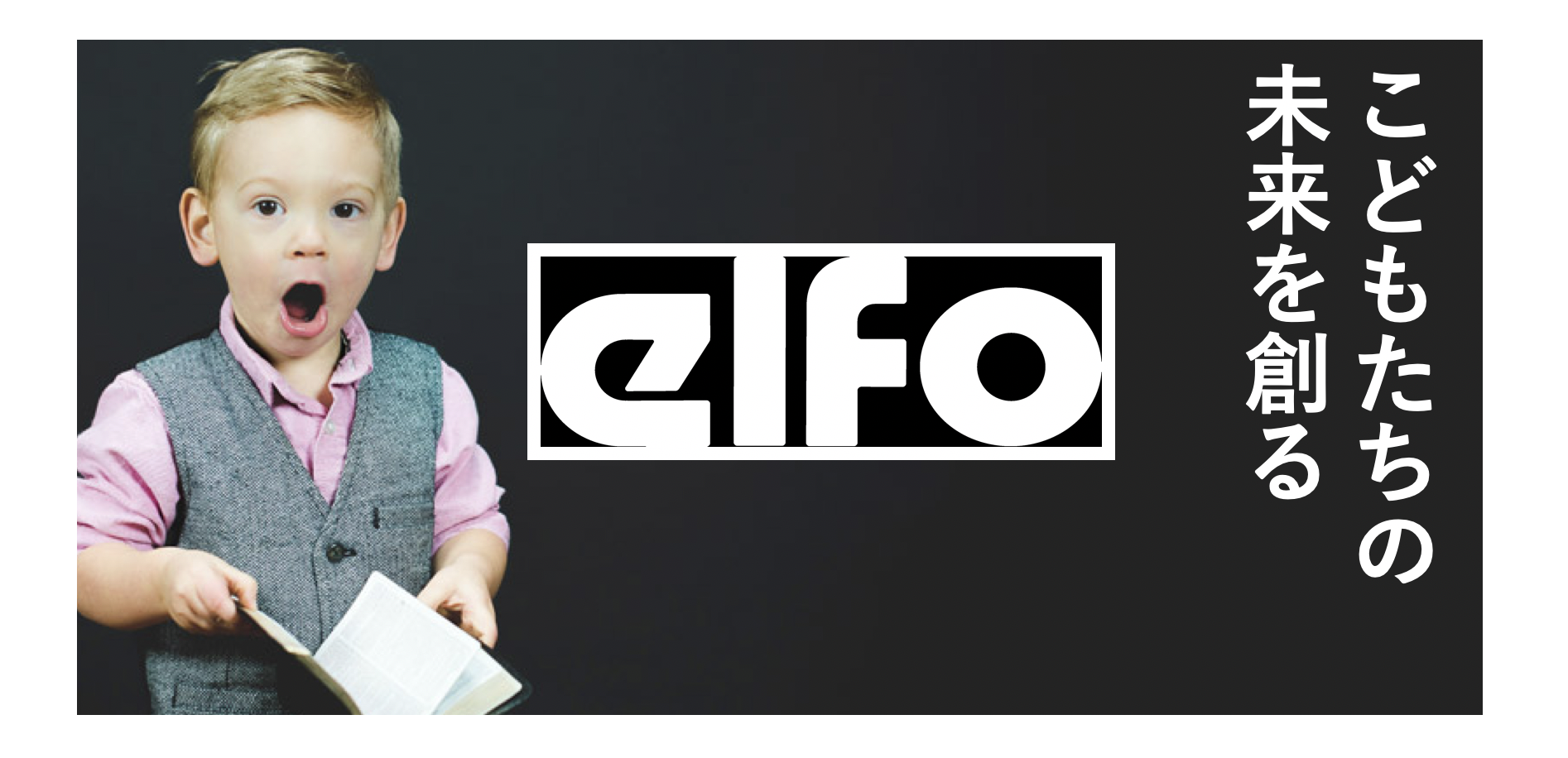 ELFO LLC